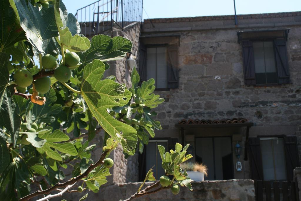 Assos Bohemian Hotel Exterior foto